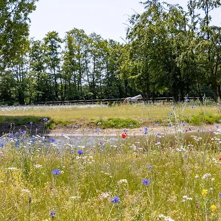 Equilodge 't Blommeke - Reconnect With Nature Βίλα Μπριζ