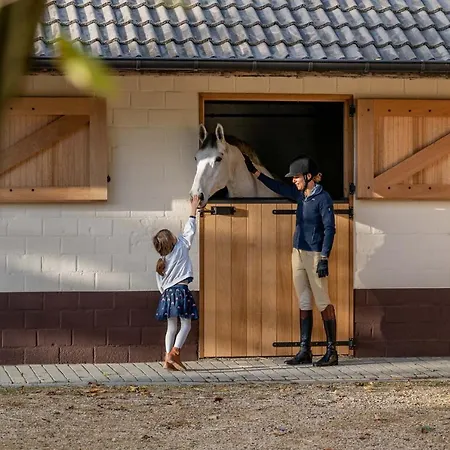 Equilodge 't Blommeke - Reconnect With Nature *