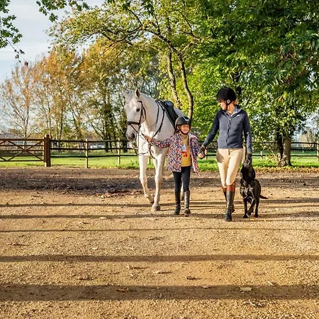 Equilodge 't Blommeke - Reconnect With Nature