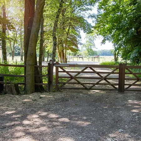 Equilodge 't Blommeke - Reconnect With Nature Villa *