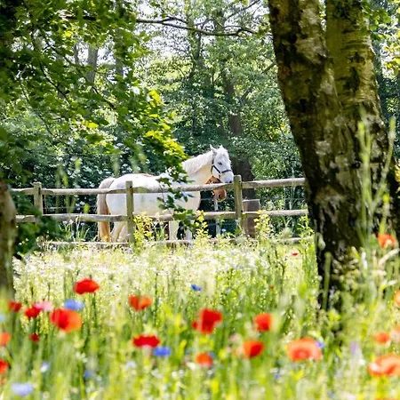 Equilodge 't Blommeke - Reconnect With Nature * Bruges